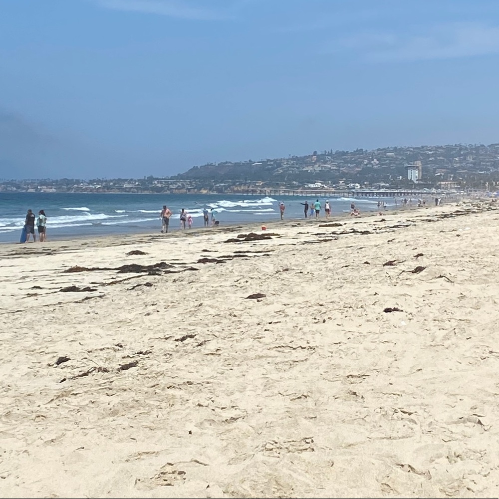 Meet your Posher, Paul